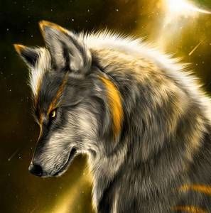 Meet your Posher, Joshua